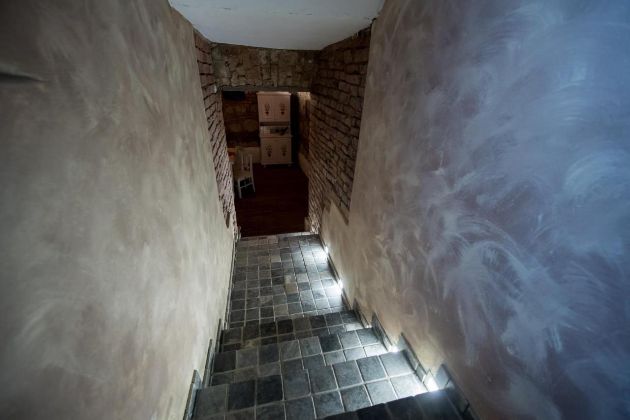 Vila Nicopole Art & Wine Braşov Dış mekan fotoğraf