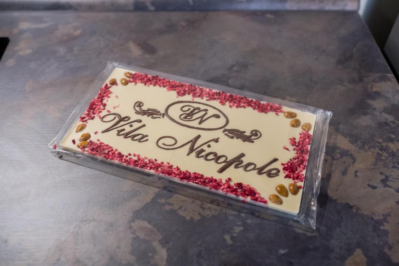 Vila Nicopole Art & Wine Braşov Dış mekan fotoğraf