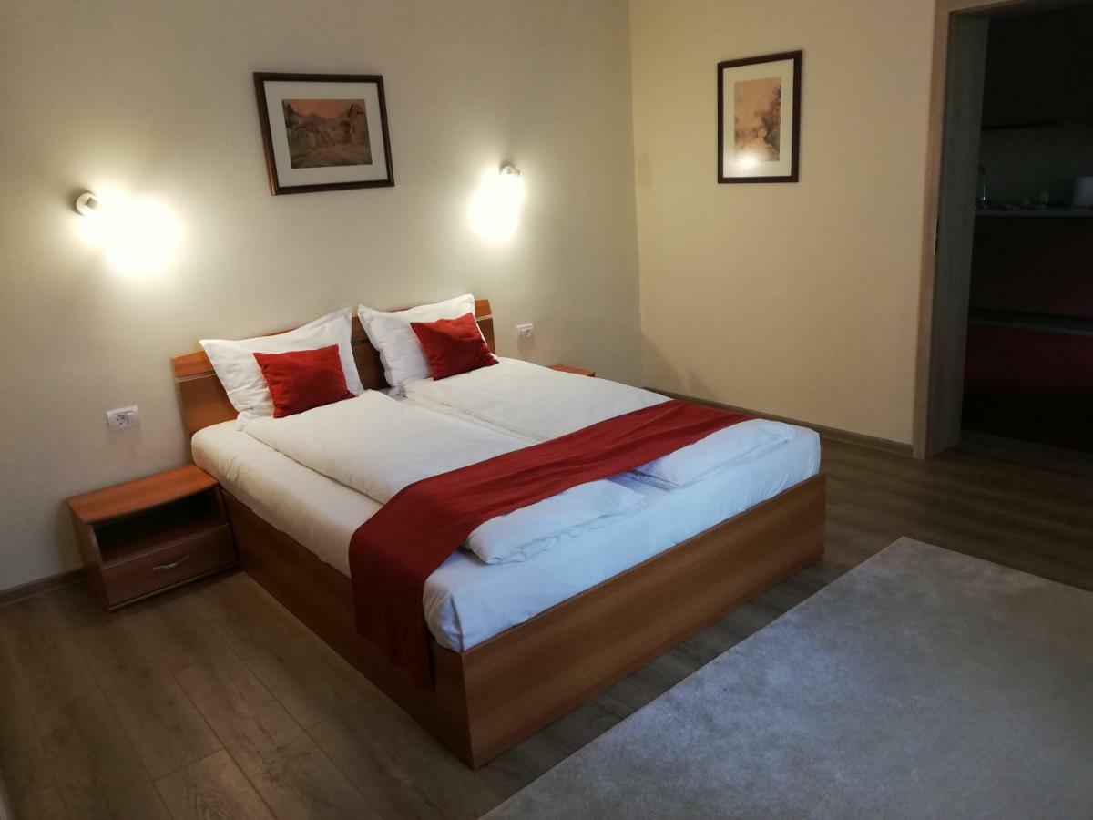 Vila Nicopole Art & Wine Braşov Dış mekan fotoğraf